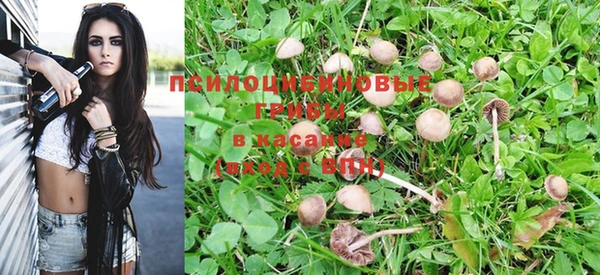 а пвп мука Верея