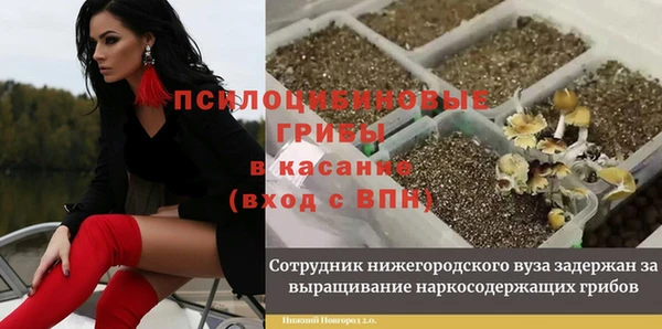 стафф Верхнеуральск
