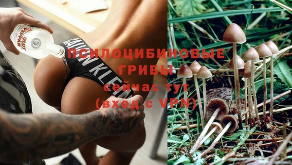 стафф Верхнеуральск