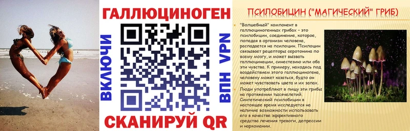 Купить  Ипатово  Галлюциногенные грибы Psilocybine cubensis 