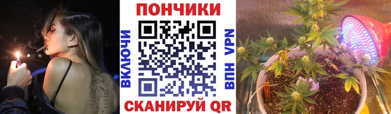Купить закладки  Ипатово  Шишки марихуана план 